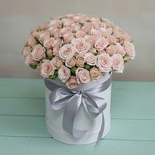 Цветочная композиция из Розы в шляпной коробке #REPLACE_PRED# Кисляковской