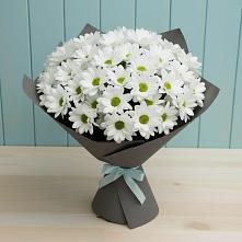 Букет цветов из:  Хризантемы #REPLACE_PRED# Кисляковской