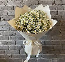 Букет цветов из:  Ромашки в Кисляковской