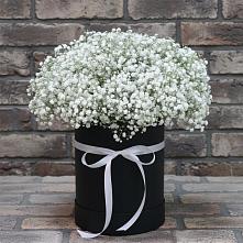Цветочная композиция из Гипсофила в шляпной коробке в Кисляковской