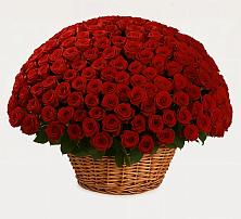 Премиум букет из: Розы #REPLACE_PRED# Кисляковской